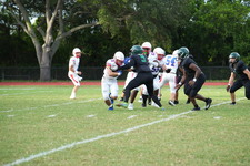 Enlarge photo 254