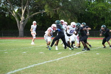 Enlarge photo 256