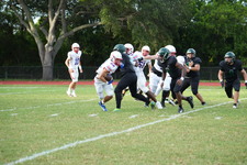 Enlarge photo 255
