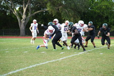 Enlarge photo 257