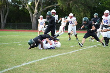 Enlarge photo 266