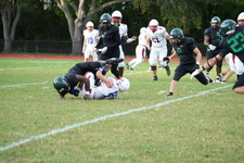 Enlarge photo 264