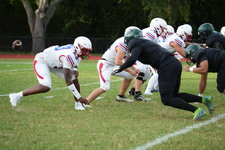 Enlarge photo 272