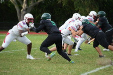 Enlarge photo 276
