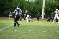Enlarge photo 278