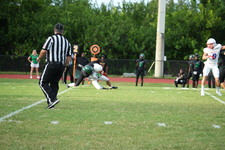Enlarge photo 279