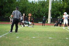 Enlarge photo 280