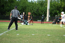 Enlarge photo 281