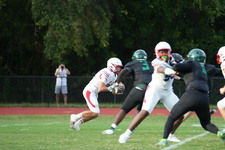 Enlarge photo 299