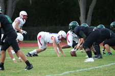Enlarge photo 338