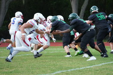 Enlarge photo 343