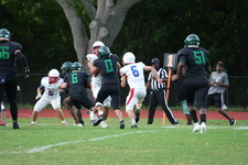 Enlarge photo 357