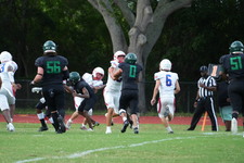 Enlarge photo 361