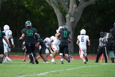 Enlarge photo 362