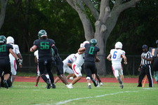 Enlarge photo 363