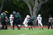Enlarge photo 364