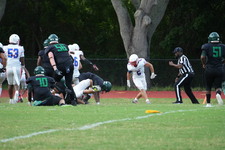 Enlarge photo 369