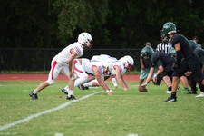 Enlarge photo 379