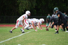 Enlarge photo 378