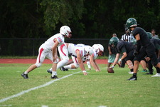 Enlarge photo 380