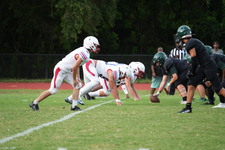 Enlarge photo 381