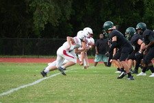 Enlarge photo 382