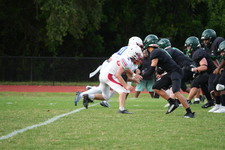 Enlarge photo 383