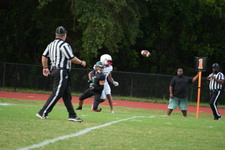 Enlarge photo 393