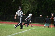 Enlarge photo 394