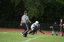 Enlarge photo 395