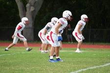 Enlarge photo 399