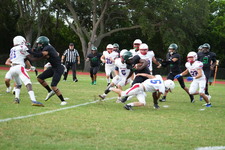 Enlarge photo 406