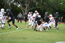 Enlarge photo 409