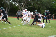 Enlarge photo 410