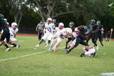 Enlarge photo 412