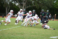 Enlarge photo 413