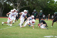 Enlarge photo 415