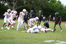 Enlarge photo 417