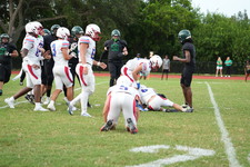 Enlarge photo 421