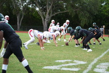 Enlarge photo 423