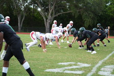 Enlarge photo 424
