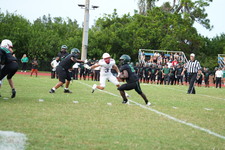 Enlarge photo 429