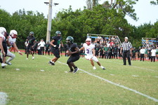 Enlarge photo 432