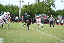 Enlarge photo 433