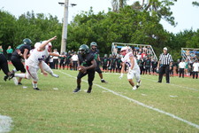 Enlarge photo 436