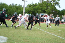 Enlarge photo 437