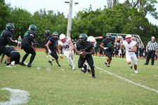 Enlarge photo 440
