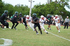 Enlarge photo 439