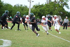Enlarge photo 441