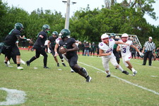 Enlarge photo 442